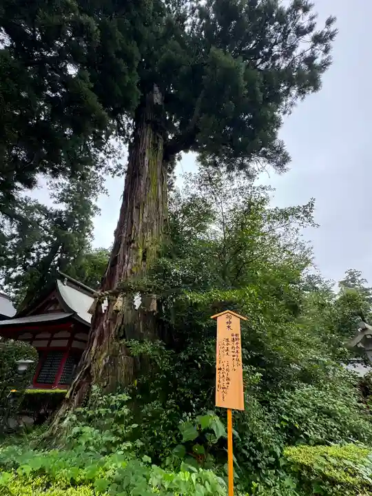 香取神宮(千葉県)