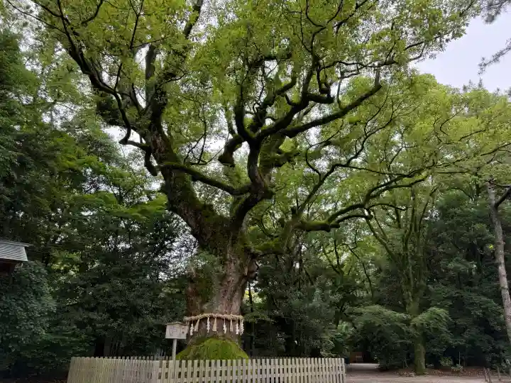 熱田神宮(愛知県)