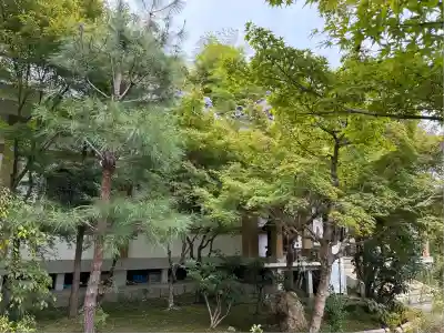 法寳閣檀林寺(京都府)