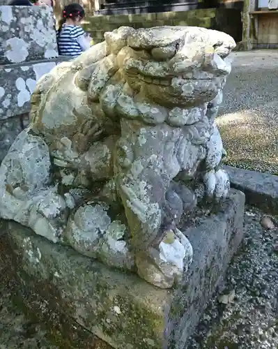 新田神社の狛犬