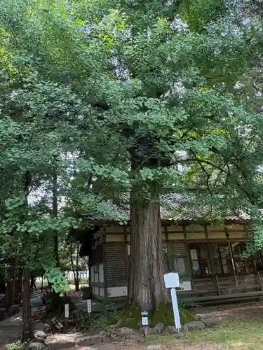 若狭姫神社（若狭彦神社下社）(福井県)