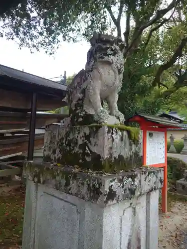 松尾大社の狛犬