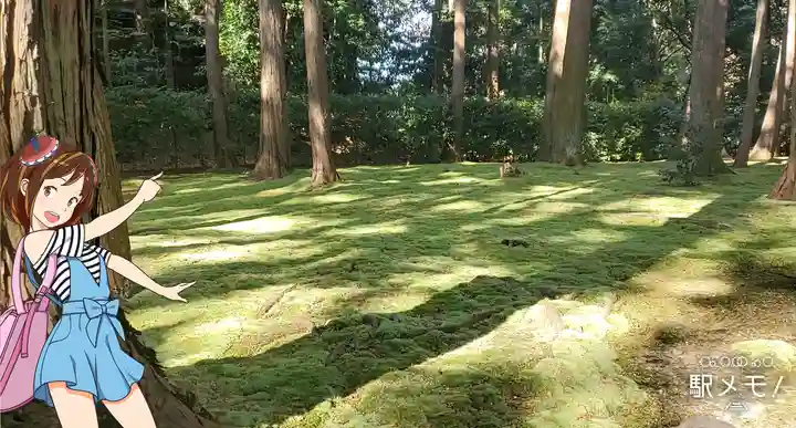 唐招提寺の自然