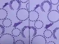 和氣神社(和気神社)の御朱印帳