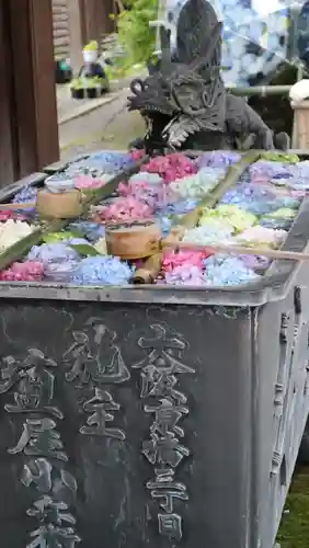 柳谷観音　楊谷寺(京都府)