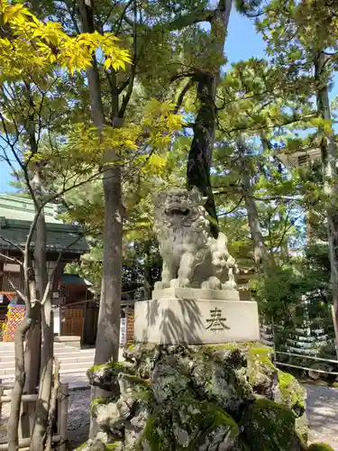 菟橋神社の狛犬