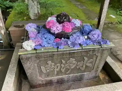 観音寺(京都府)