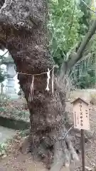 鷲神社の自然