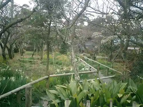 英勝寺の庭園