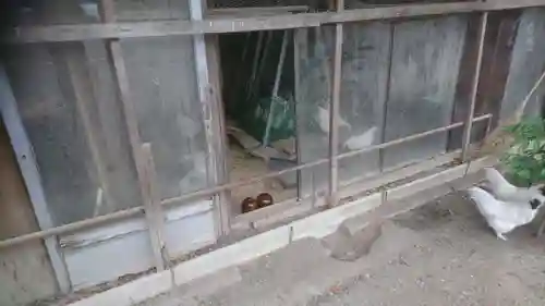 立坂神社の本殿・本堂