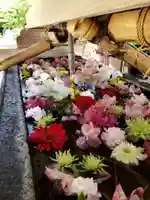 鳩森八幡神社の手水舎