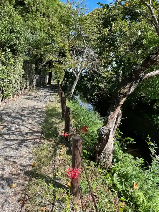 大覚寺(京都府)