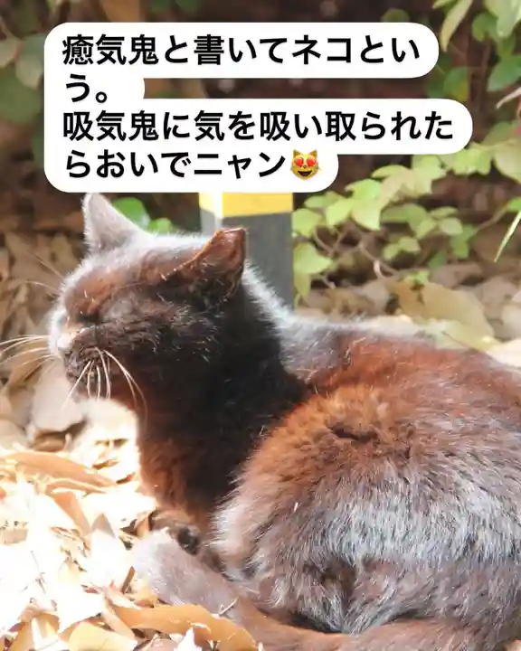 専念寺(大阪府)