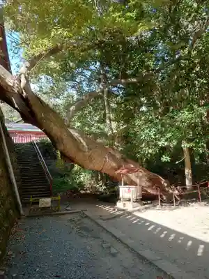 志波彦神社・鹽竈神社(宮城県)