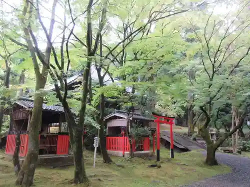今熊野観音寺(京都府)