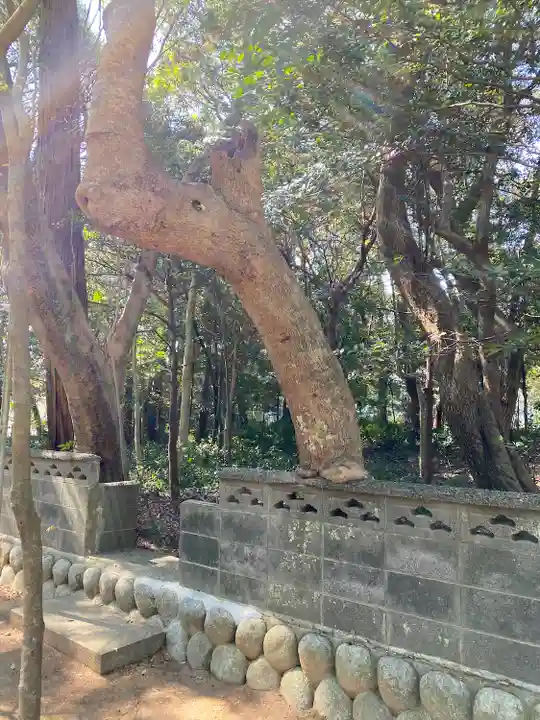 鎌田神明宮(静岡県)