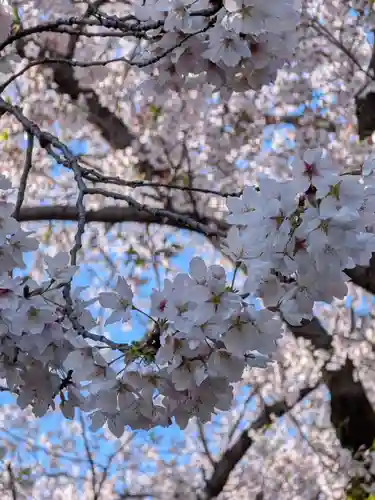 福蔵院(東京都)