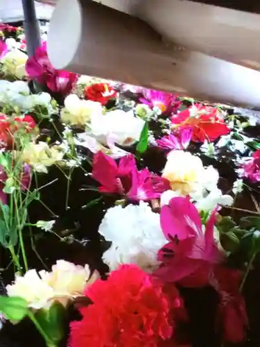 鳩森八幡神社の手水舎