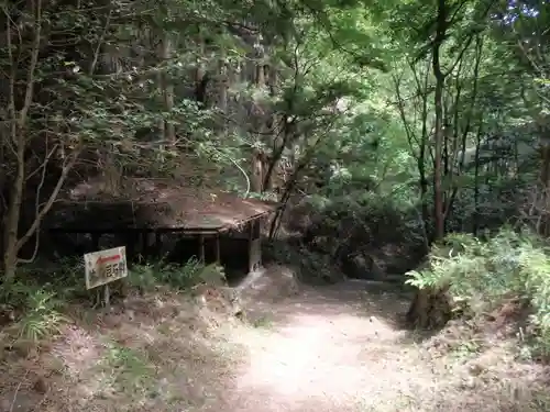 名草厳島神社の自然