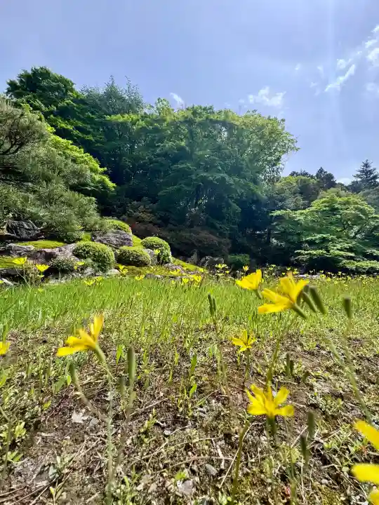 青蓮院門跡の{uncategorized: "未分類", other: "その他", undefined: "問題あり", building: "その他建物", grave: "お墓", sacred_gate: "鳥居", guardian: "狛犬", statue: "像", buddha: "仏像", history: "歴史", nature: "自然", garden: "庭園", animal: "動物", pagoda: "塔", temizu: "手水舎", mountain_gate: "山門・神門", sanctuary: "本殿・本堂", subordinate: "末社・摂社", art: "芸術", scenery: "景色", jizo: "地蔵", ema: "絵馬", goshuin: "御朱印", omikuji: "おみくじ", items: "授与品その他", amulet: "お守り", goshuincho: "御朱印帳", eats: "食事", festival: "お祭り", votive_dance: "神楽", shichigosan: "七五三参", wedding: "結婚式", experience: "体験その他", initially: "初詣", around: "周辺", anti_infection: "感染症対策"}
