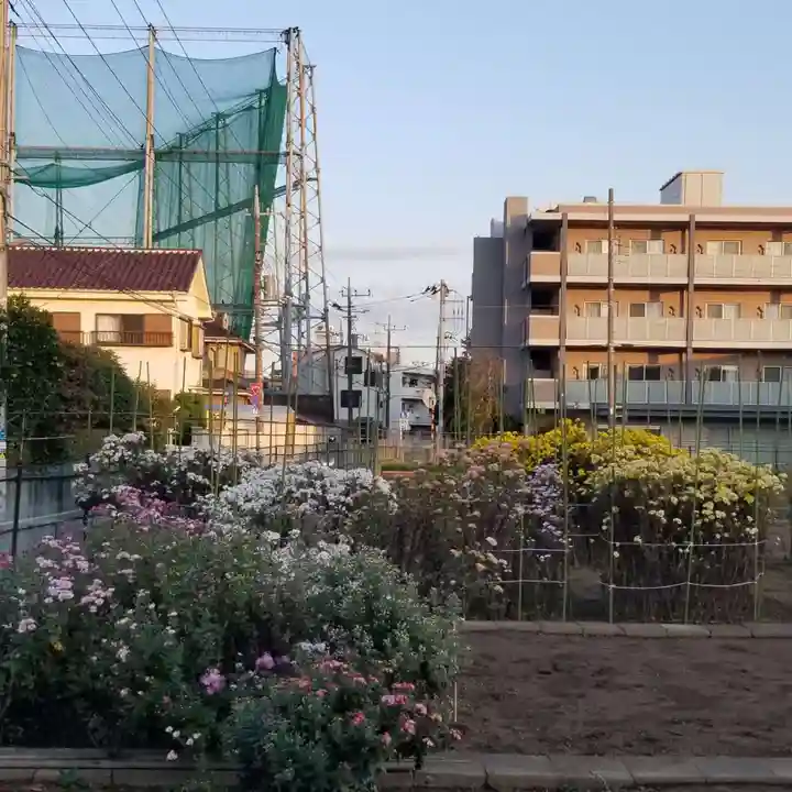 蒲原神社の自然
