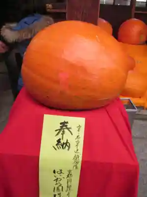 矢田寺(京都府)