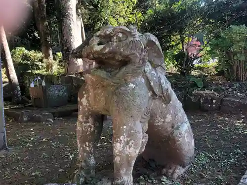 稲荷神社の狛犬