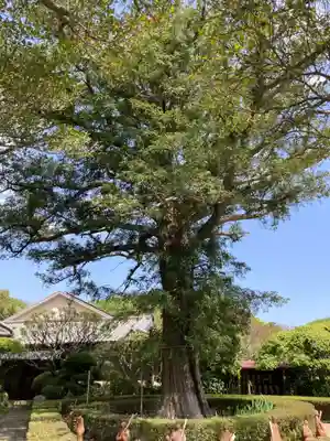西光寺(神奈川県)