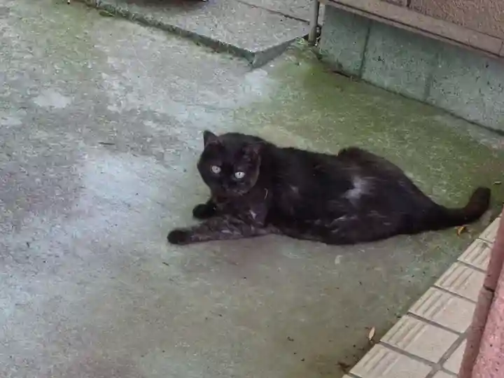 弥生神社の動物