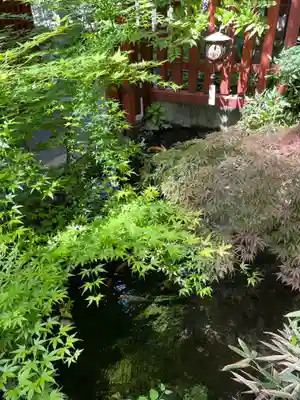 秩父神社(埼玉県)
