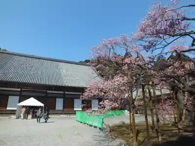 瑞巌寺(宮城県)