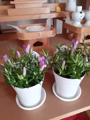 伏木香取神社(茨城県)