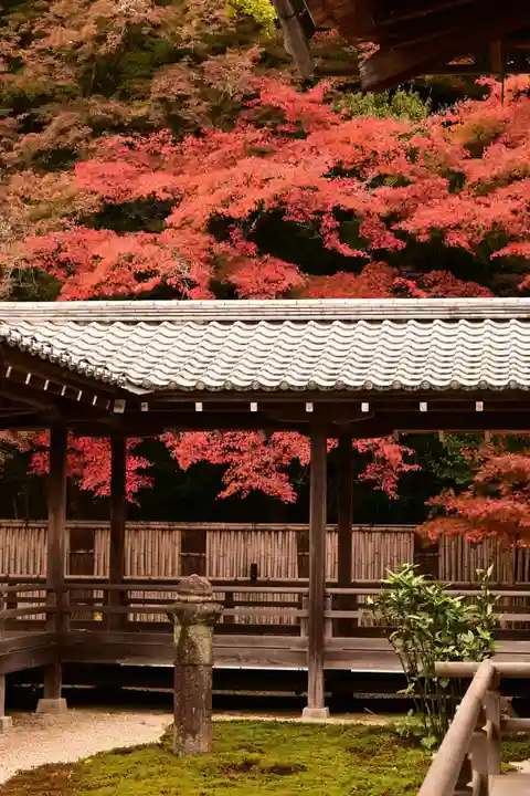 南禅寺(京都府)