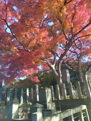 阿弥陀寺(福島県)