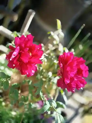 上野東照宮の{uncategorized: "未分類", other: "その他", undefined: "問題あり", building: "その他建物", grave: "お墓", sacred_gate: "鳥居", guardian: "狛犬", statue: "像", buddha: "仏像", history: "歴史", nature: "自然", garden: "庭園", animal: "動物", pagoda: "塔", temizu: "手水舎", mountain_gate: "山門・神門", sanctuary: "本殿・本堂", subordinate: "末社・摂社", art: "芸術", scenery: "景色", jizo: "地蔵", ema: "絵馬", goshuin: "御朱印", omikuji: "おみくじ", items: "授与品その他", amulet: "お守り", goshuincho: "御朱印帳", eats: "食事", festival: "お祭り", votive_dance: "神楽", shichigosan: "七五三参", wedding: "結婚式", experience: "体験その他", initially: "初詣", around: "周辺", anti_infection: "感染症対策"}
