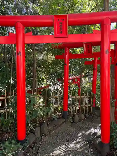 白笹稲荷神社の鳥居