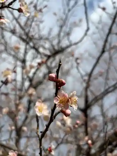 二兒神社(福岡県)