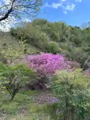 蔵王社(東京都)