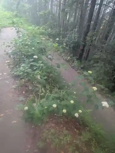 サムハラ神社 奥の宮(岡山県)