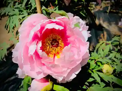 滑川神社 - 仕事と子どもの守り神の周辺