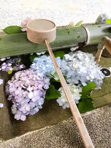 極楽寺の手水舎