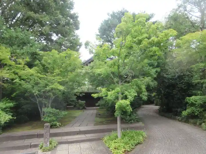 祥雲寺(東京都)