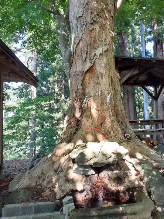 愛宕神社(秋田県)
