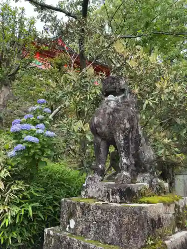 熊野那智大社(和歌山県)