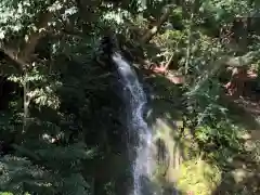 出雲大社北島国造館 出雲教の自然