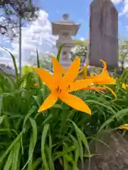 寺岡山元三大師の自然