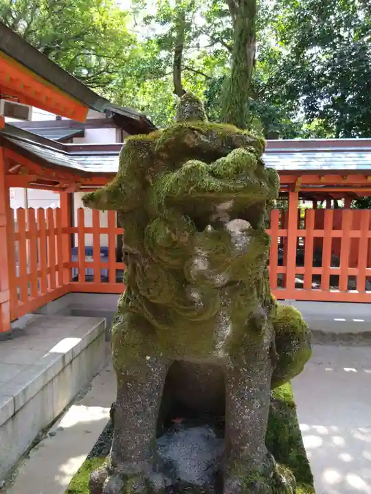 住吉神社の狛犬