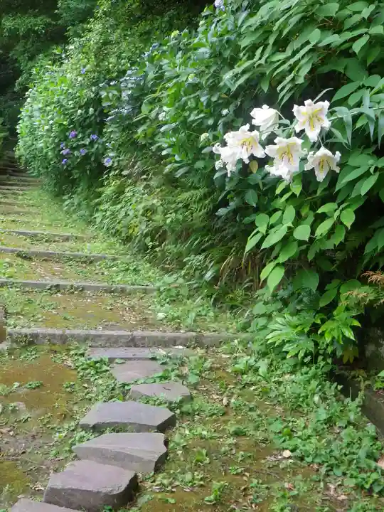 安國論寺(安国論寺)の自然
