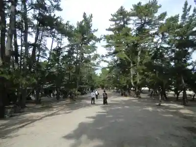 智恩寺(京都府)