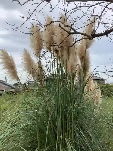 三明神社の自然
